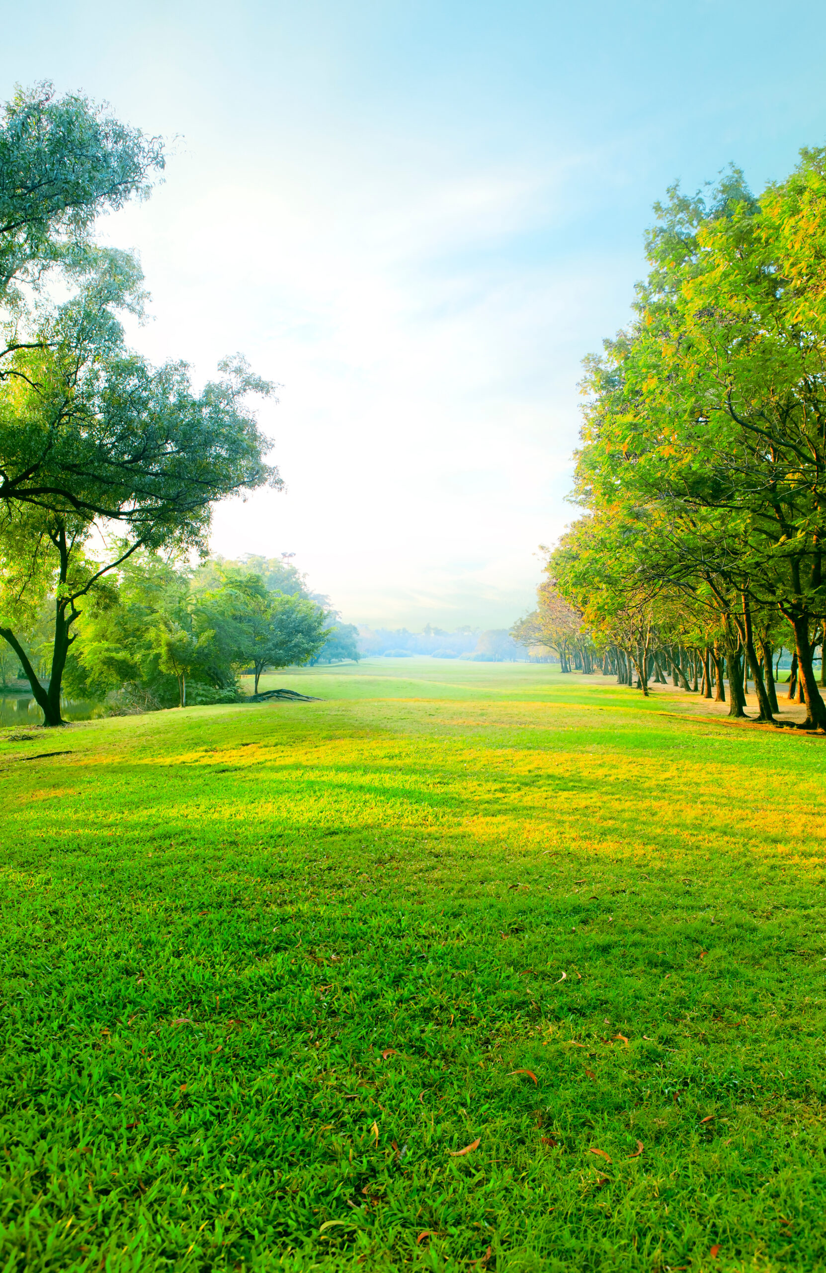 Garden il verde accessibile